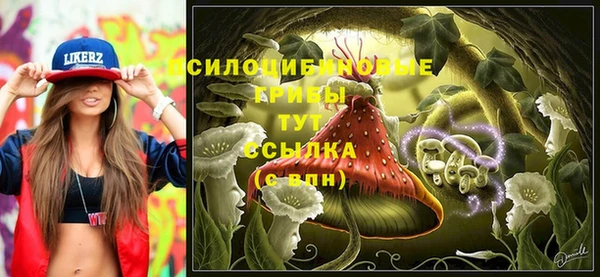 прущий лед Белокуриха